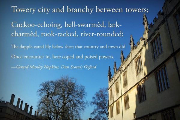 Bodlein-Quote Bodlein-Quote